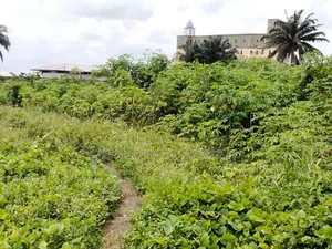 For Sale : 23 Plots at Aba Road, Naze, Owerri, Imo State