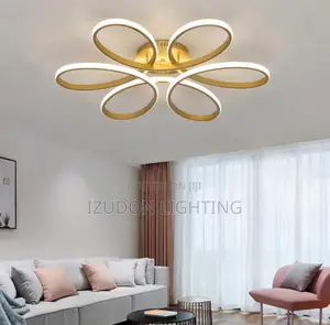 Quality Ceiling Flush for Bathroom