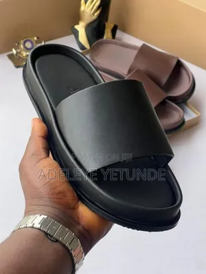 Cover Palm