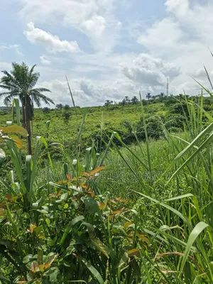 Survey Plans Gazette 50 Plots