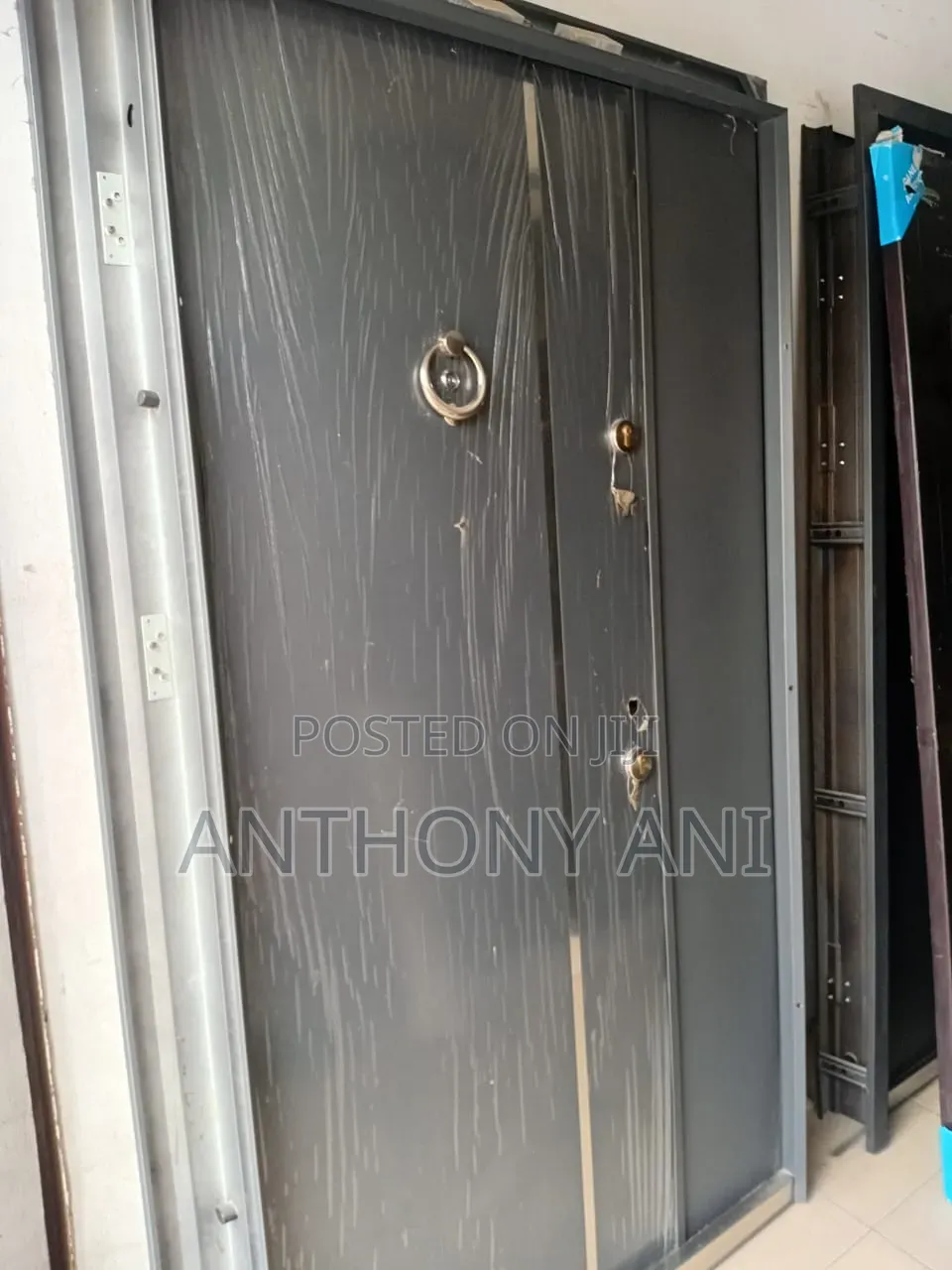 Double Panel Enterance Door