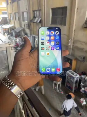 Apple iPhone 16 Pro Max 256 GB Gray