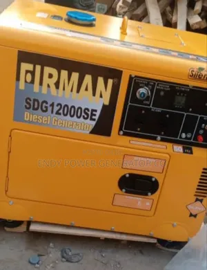 Firman Sdg12000se Diesel Generator Pure Copper Coil