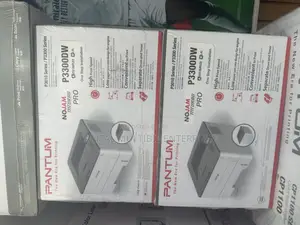 Pantum P3300dw Printer