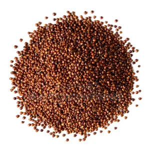 Red Quinoa- 500gram