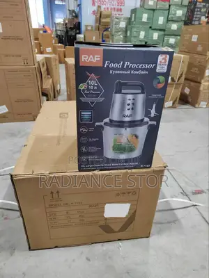 10 Liters Raf Food Processor