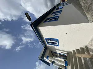 Gravitex Paint