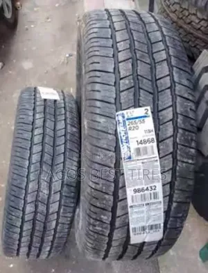 Premium Michelin LTX a/T2 - High Performance (265/55 R20)
