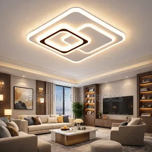 Led Flush Light Celling Fitting Double Colour White and Warmwhite
