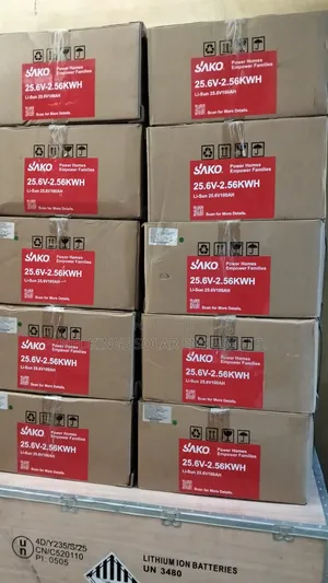 2.5kwh 24v Sako Lithium Battery