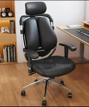 Ergonomic Kidney Adjustable Office Chair