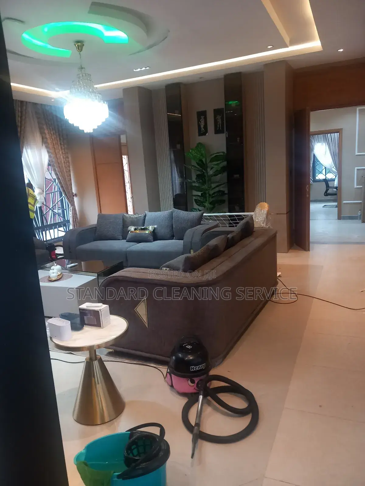 Need a Proffessional Cleaning Service