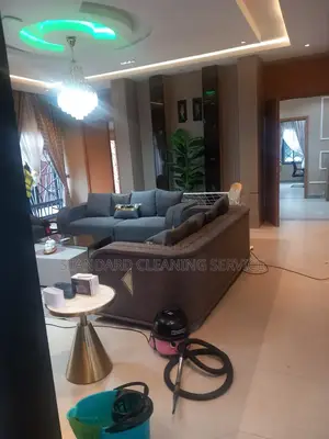 Need a Proffessional Cleaning Service