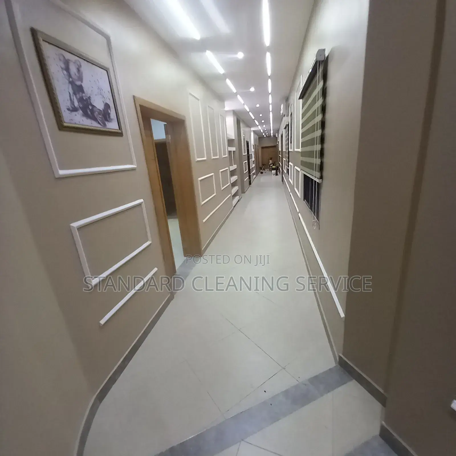 Need a Proffessional Cleaning Service
