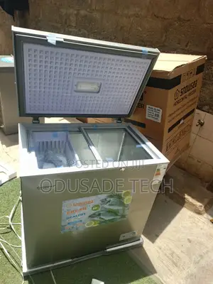 Snowsea New Deep Freezer With Fast Cooling Bd-258g 176l