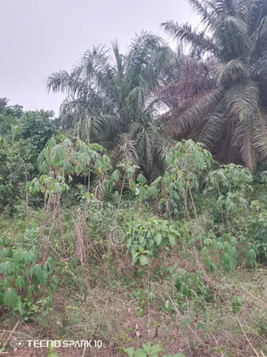 Acres of Land