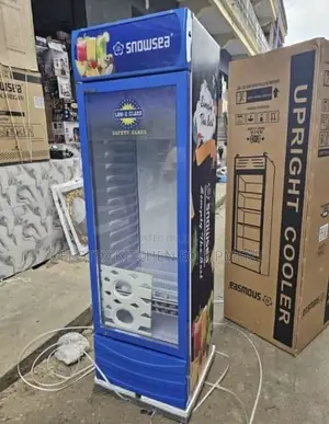 Display Chiller