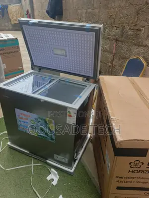 Portable Brand New Snowsea Bd-258g Deep Freezer