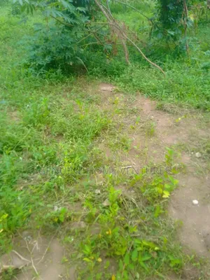 30 Acres of Land in Alagbole