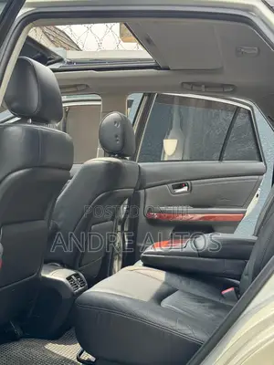 Lexus RX 2009 Silver