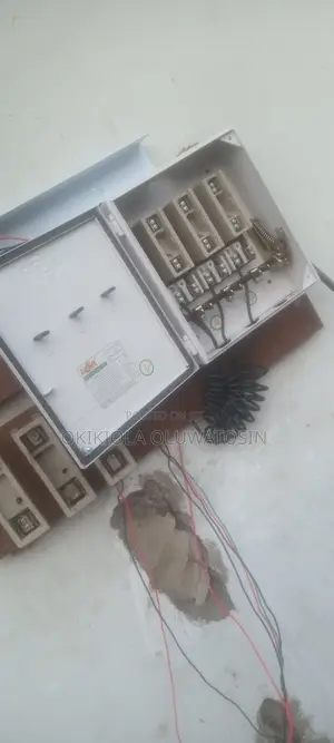 Professional Electrician