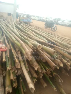 High Taste Bamboo