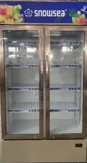 Snowsea Double Door Showcase Freezer Bd 400