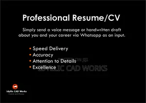 Professional Resume /Cv