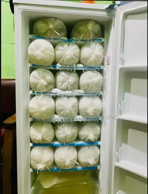 Lg 304 Upright Freezer
