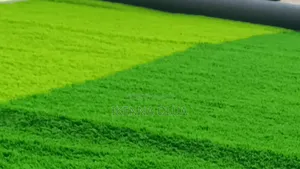 Football Pitch 50mm Carpet Grass