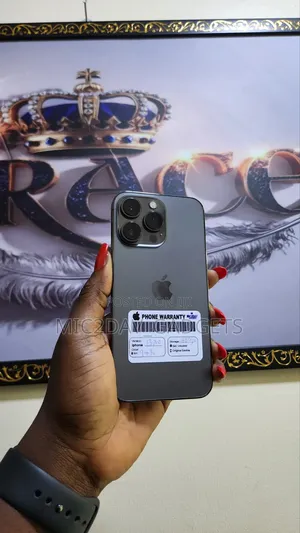 Apple iPhone 13 Pro 256 GB Gray