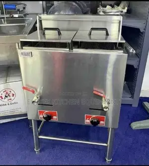 Commercial Gas Fryer