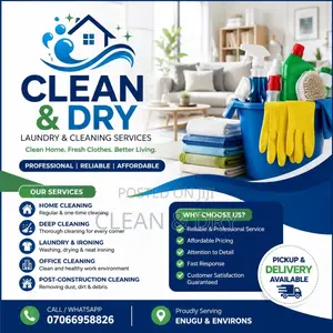 Professional Home Cleaning Laundry Services
