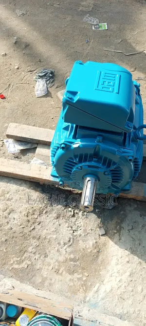 Original Electric Motor Weg 45kw