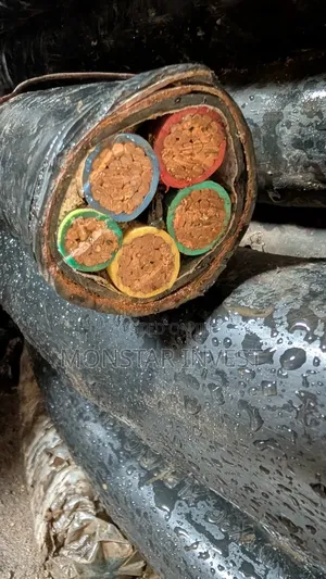 Armored Cable Niger Chin 50mm 5cores
