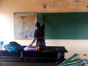 A Professional Tutor