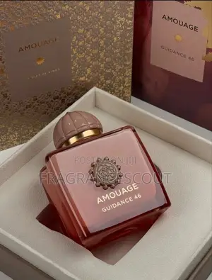 Amouge Guidance 46