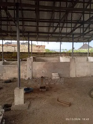 Poultry/Fish Farm for Sale