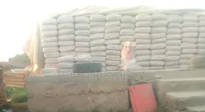 Dangote Cement