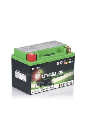 Skyrich Lithium Battery