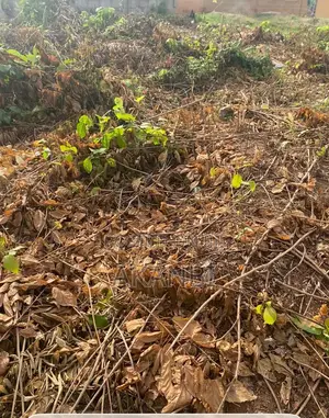 2 Plots of Land for Sale