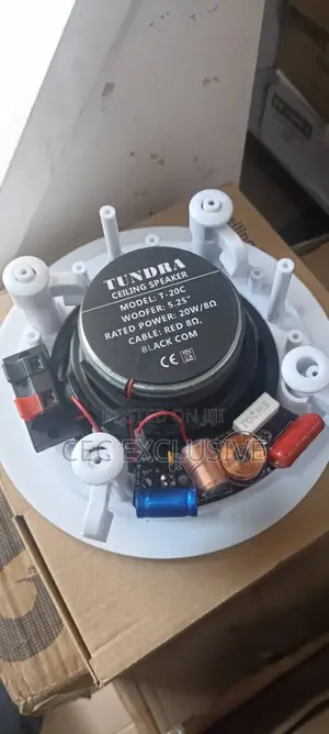 20w Frame Tundra Celling Speaker
