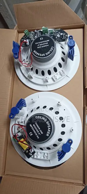 20w Bluetooth Celling Speaker