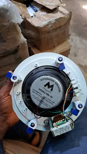 30w Bluetooth Celling Speaker