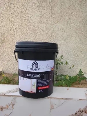 Mira Best Satin Paint