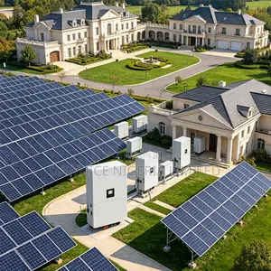 Deye 80kw Eu-Compliant Hybrid Inverter With 12 MPPT Trackers