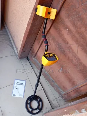 Gold and Metal Detector