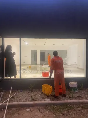 Professional and Expert Cleaning Service