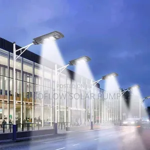 Ecoflow Solar Street Light 2 Eye