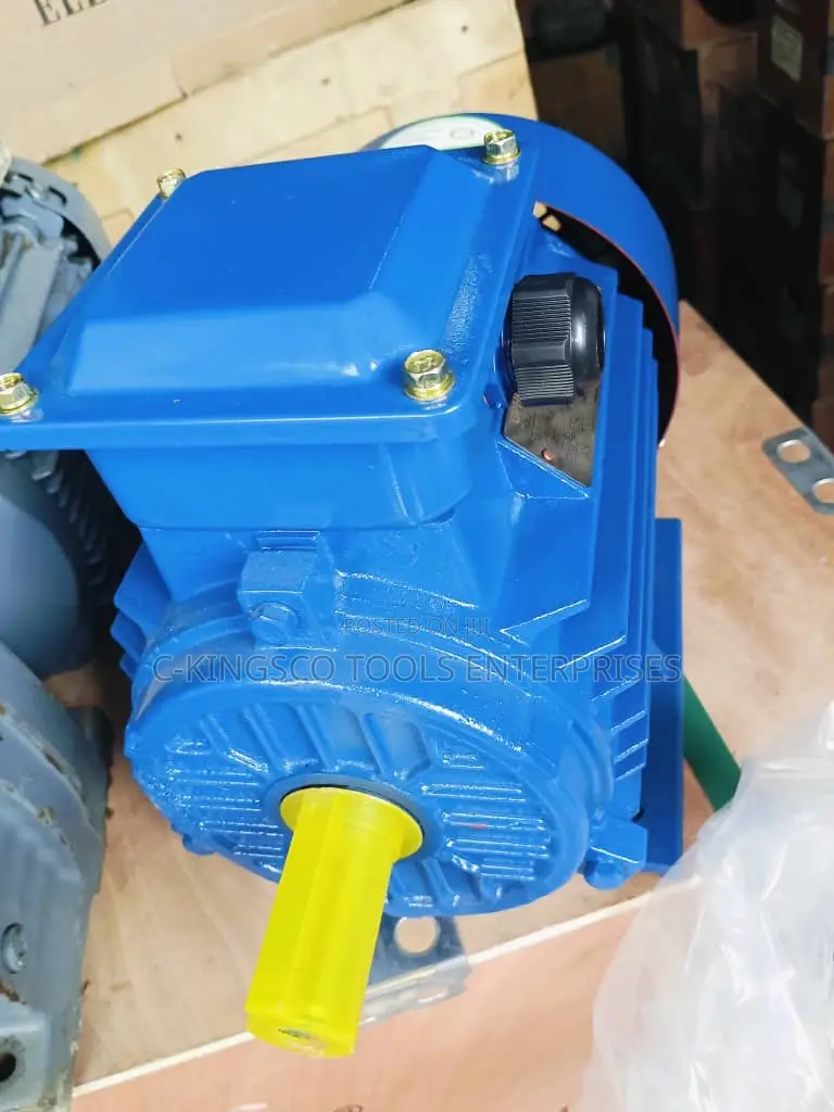 Electric Motor